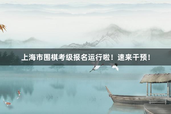 上海市围棋考级报名运行啦！速来干预！
