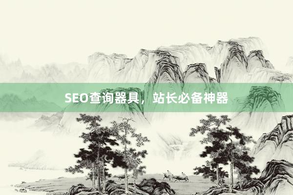 SEO查询器具，站长必备神器