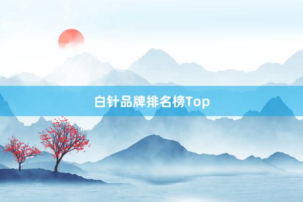 白针品牌排名榜Top