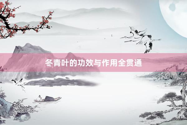 冬青叶的功效与作用全贯通